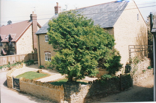 A brand new Jasmine Cottage