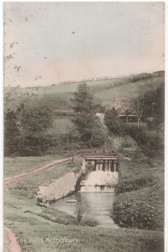 The Weirs. A postcard published by B Walbridge, The Post Office, Netherbury.