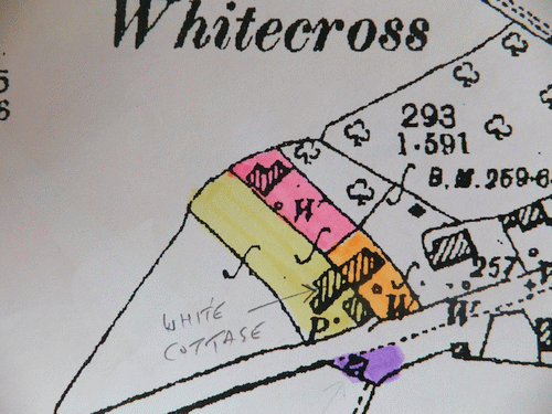 A 1903 OS map showing the four plots left by Richard Tizard to his two sons.